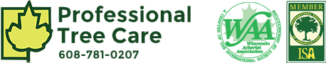 Professional Tree Care Service Logo